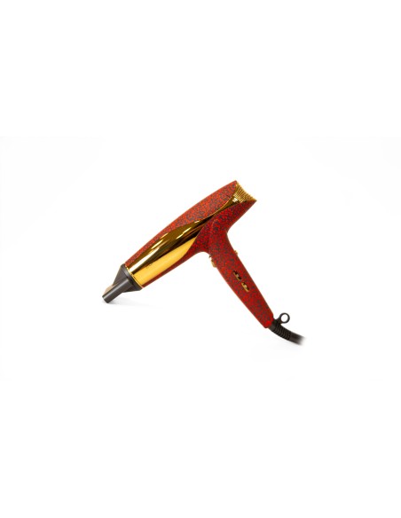 C5 RED LEOPARD + WIND