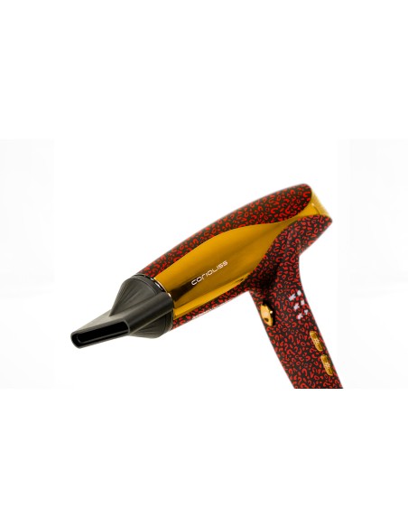 C5 RED LEOPARD + WIND