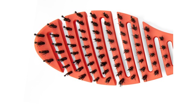 THE VENT BRUSH CORAL