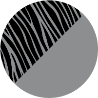C3 SILVER ZEBRA-01.png
