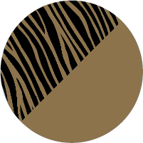 C5 GOLD  ZEBRA.png
